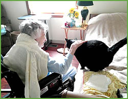 Senior Memory Care Facility - Northern Lehigh Valley PA - Pet Friendly
