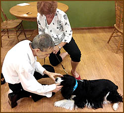Senior Memory Care Facility - Northern Lehigh Valley PA - Pet Friendly
